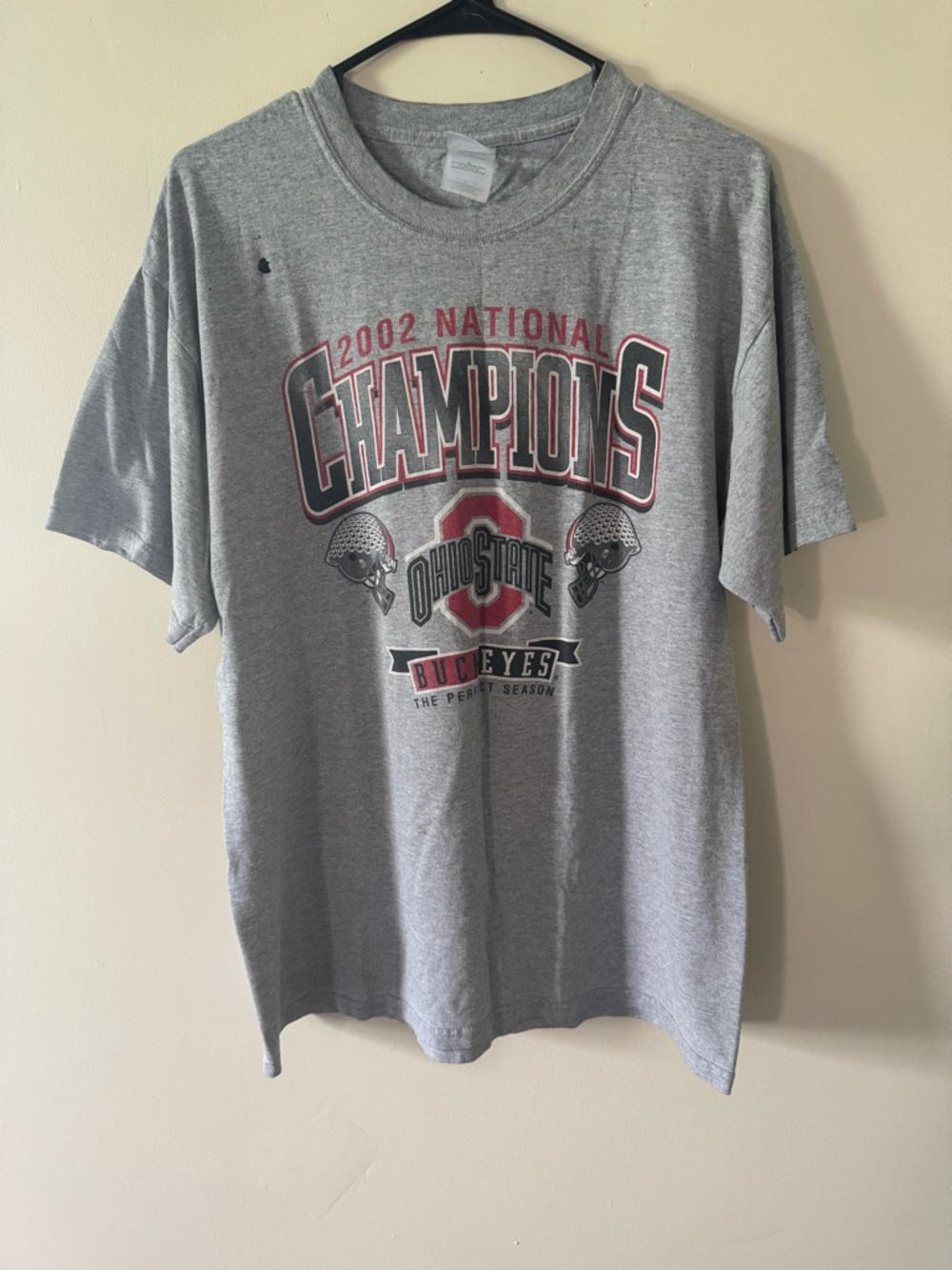 Ohio State Buckeyes 2002 National Champions Tee L Gray Gildan